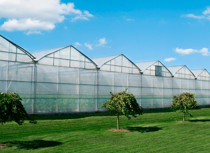 What Type of Glass is Best for A Greenhouse?